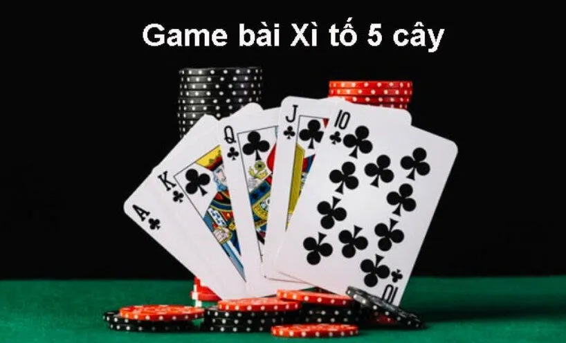 Bài Xì Tố K8CC Cổng Game Bất Tận Hấp Dẫn Mọi Thời Đại 3 Các thuật ngữ thường gặp trong Bài Xì Tố K8CC