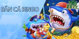Bắn cá bingo tại K8CC hấp dẫn ngay từ lần chơi đầu